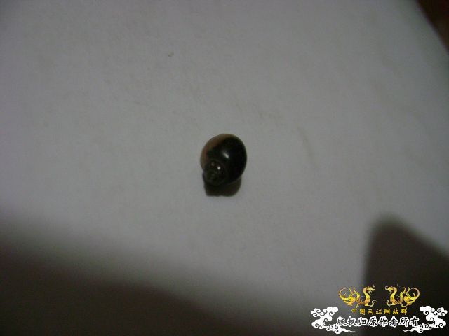 那卵的爸妈