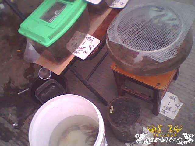 拍了些照片