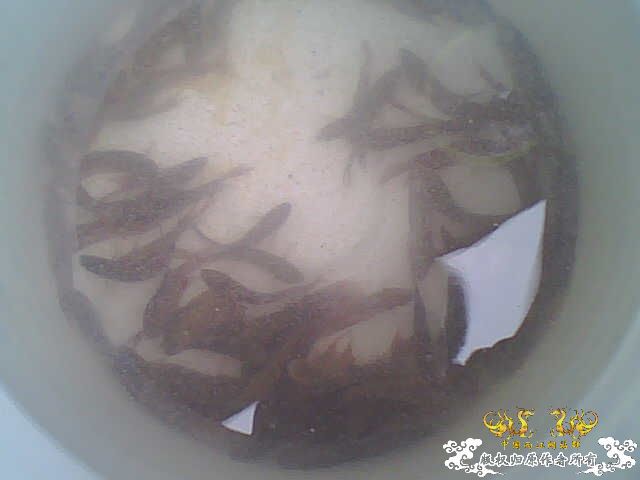 拍了些照片