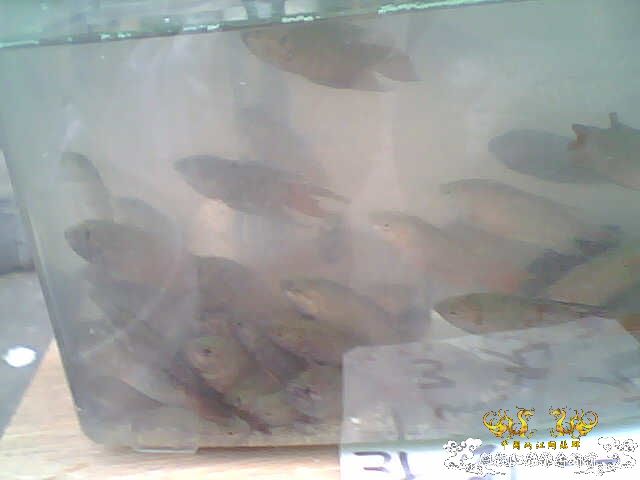 拍了些照片
