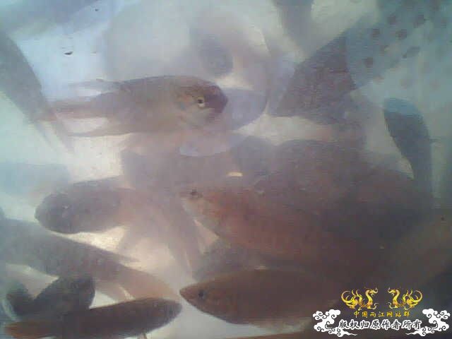 拍了些照片