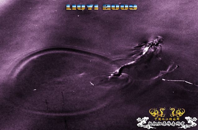 回龙山之打龟行