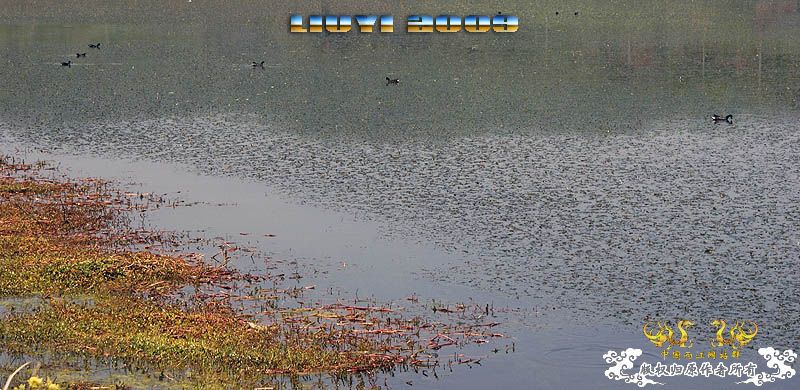 回龙山之打龟行