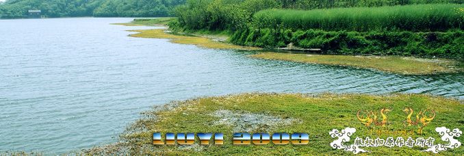 回龙山之打龟行