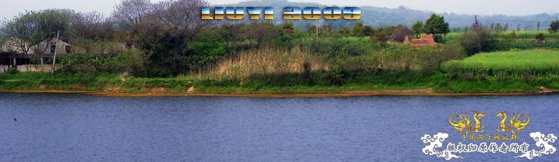 回龙山之打龟行