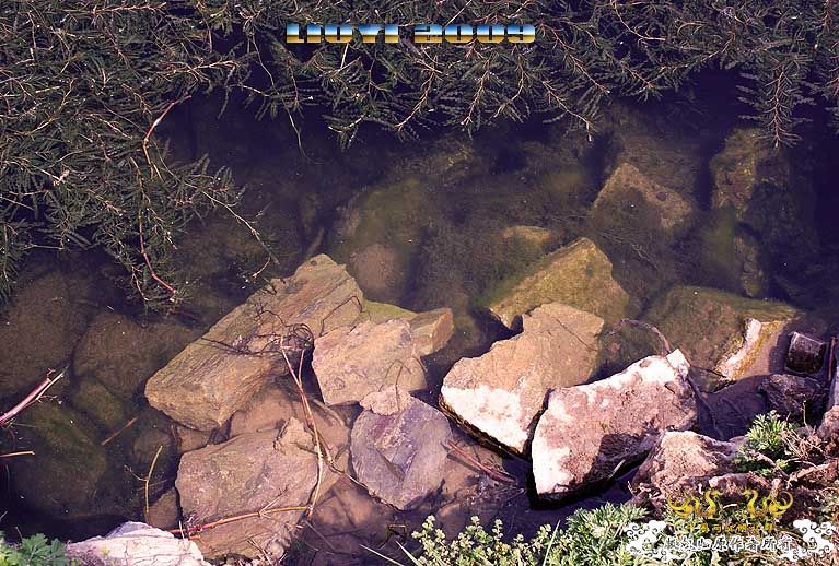 回龙山之打龟行