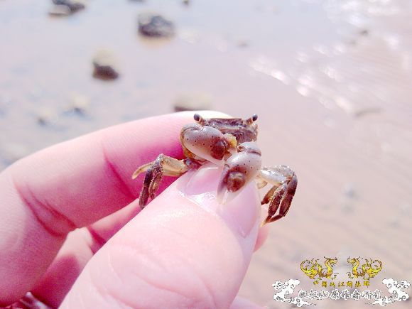 辽宁 葫芦岛 海边