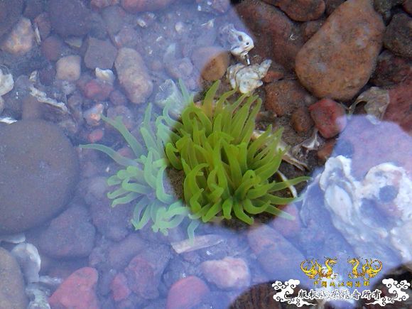 辽宁 葫芦岛 海边