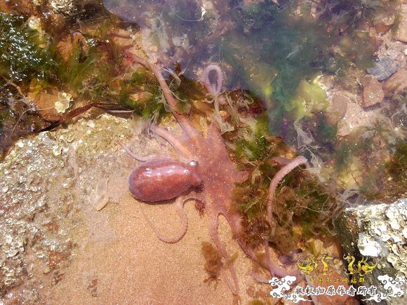 辽宁 葫芦岛 海边