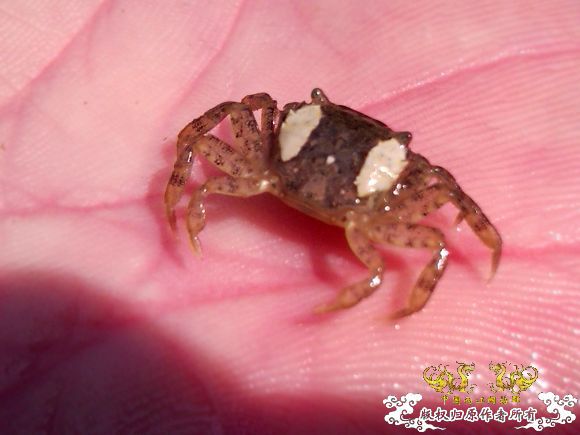 辽宁 葫芦岛 海边