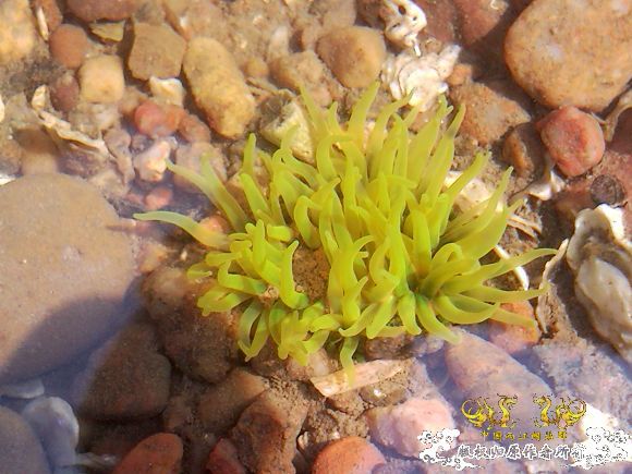 辽宁 葫芦岛 海边