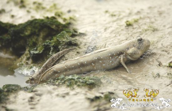 打造精华贴，营养丰富！！