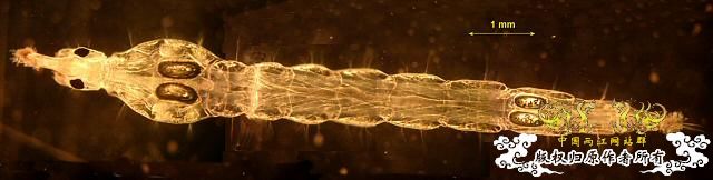 Uj3k9I71.jpg Uj3k9I71.jpg