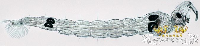 S7in7fm9.jpg S7in7fm9.jpg