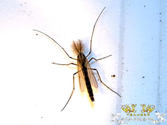 DCvp7Vzp.jpg DCvp7Vzp.jpg