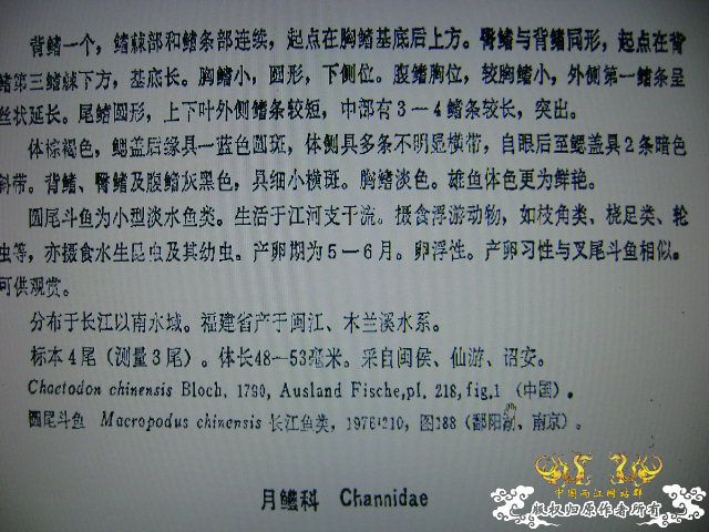 我晕。。。。。。。