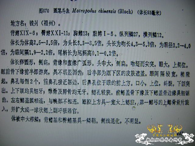 我晕。。。。。。。