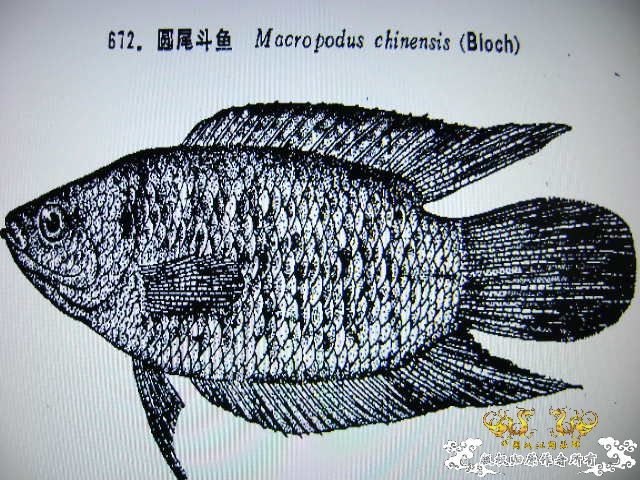 我晕。。。。。。。