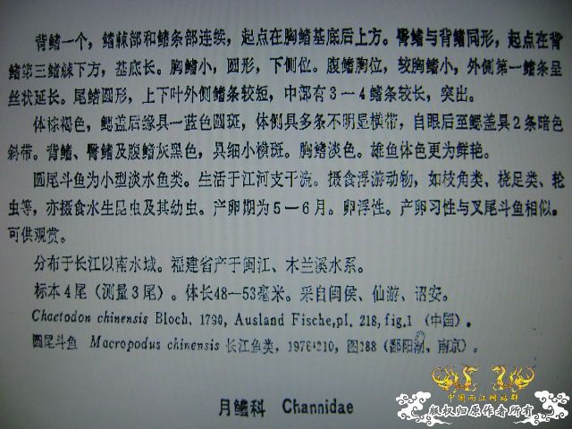 我晕。。。。。。。