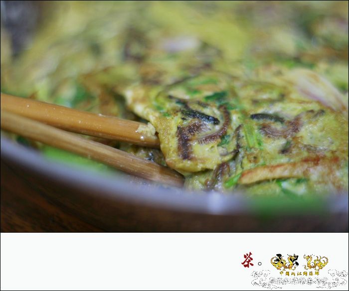 巨型蠕虫惊现英国水族馆 袭击珊瑚虫