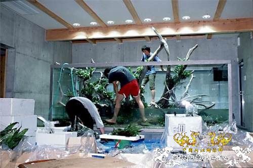 [转帖]天野尚的草缸造景技巧——巨无霸缸建缸过程