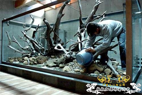 [转帖]天野尚的草缸造景技巧——巨无霸缸建缸过程