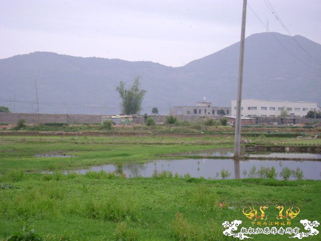 发图——今天野采的
