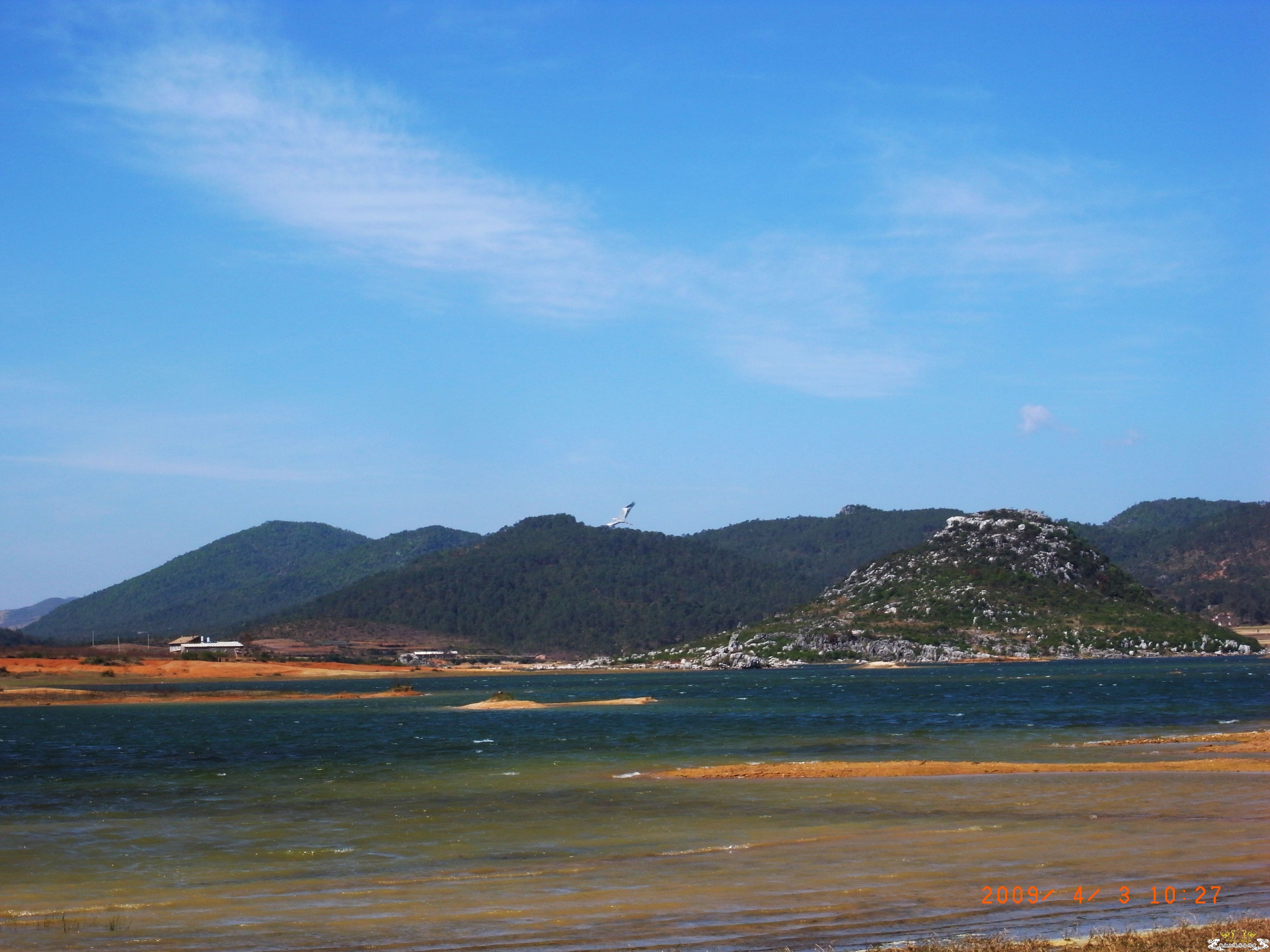 [原创]初探海峰湿地