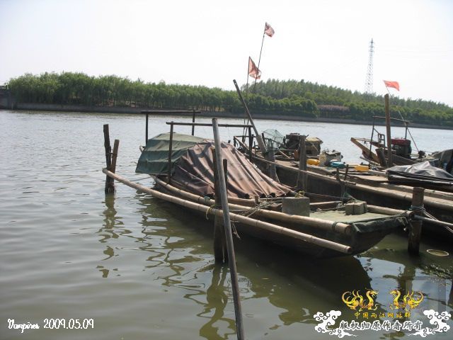 8mY24svn.jpg