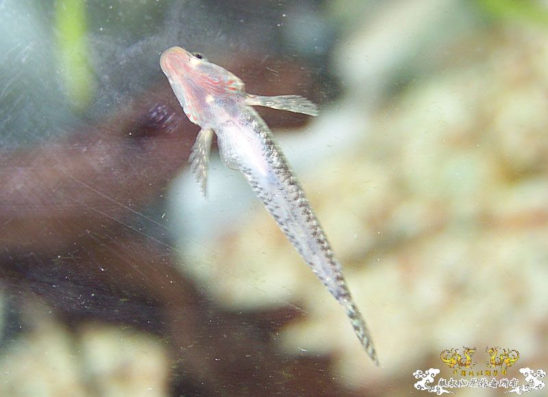 1fLb8FtI.jpg