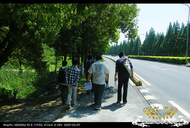 淀山湖游