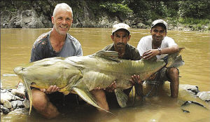 [转帖]变异鲶鱼吃人成性