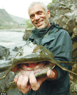 [转帖]变异鲶鱼吃人成性