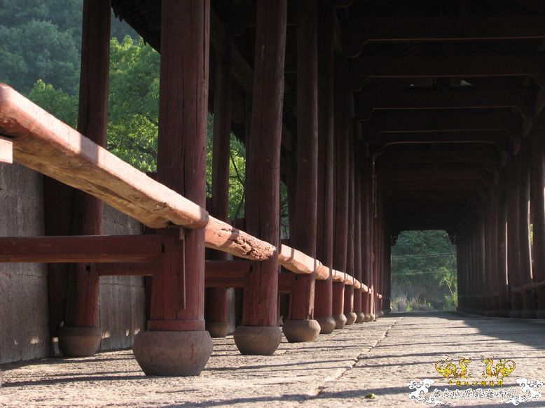 很久没有出去混了-上午