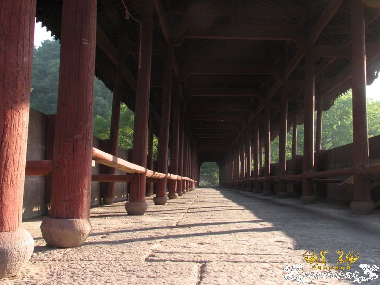 很久没有出去混了-上午