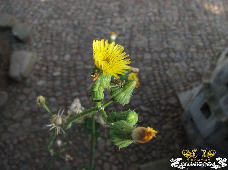 很久没有出去混了-上午