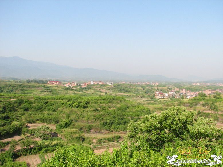 很久没有出去混了-上午