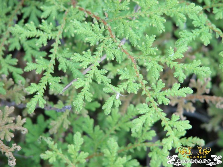 很久没有出去混了-上午