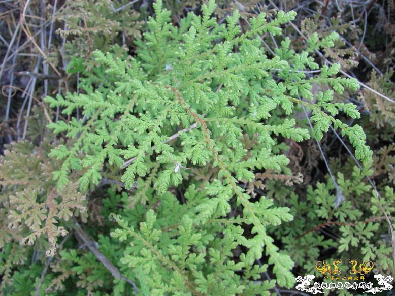 很久没有出去混了-上午