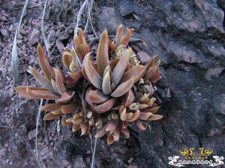 很久没有出去混了-上午