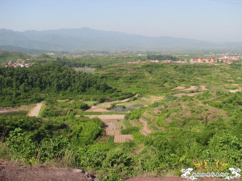 很久没有出去混了-上午