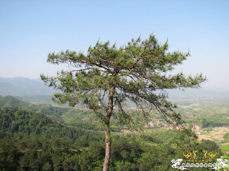 很久没有出去混了-上午