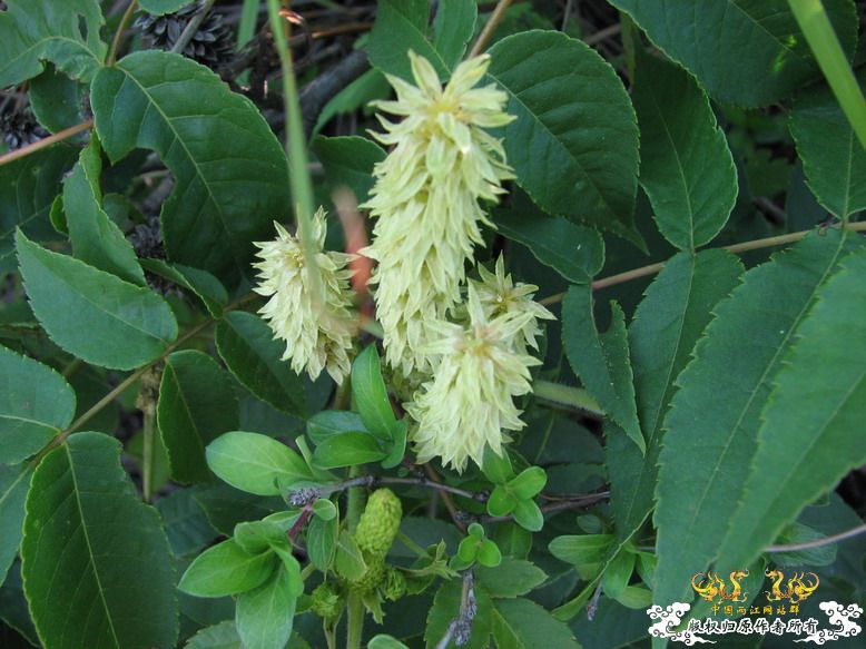 很久没有出去混了-上午