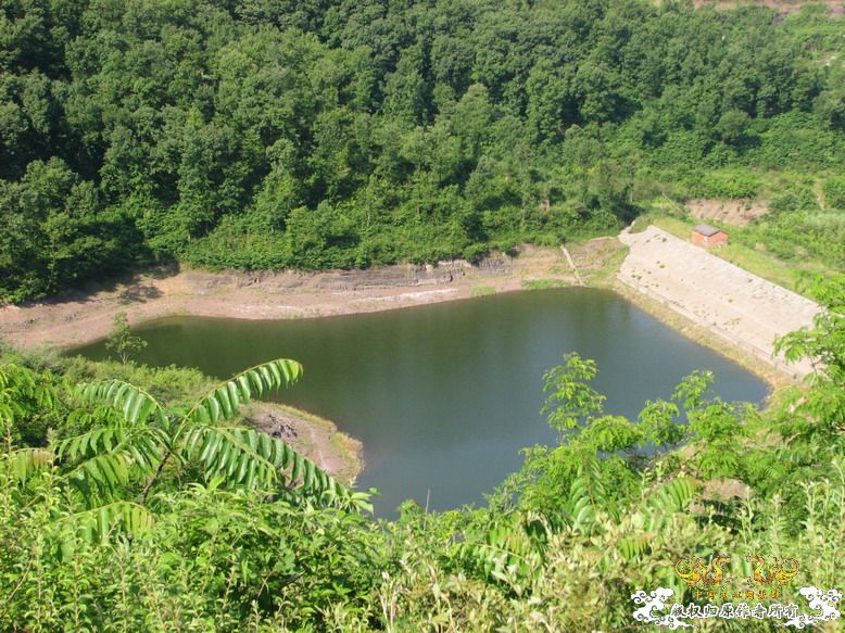 很久没有出去混了-上午