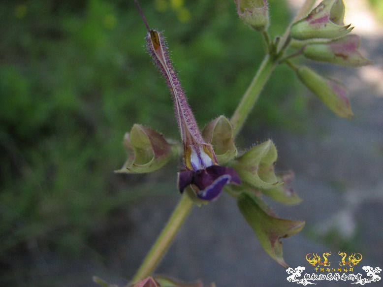 很久没有出去混了-上午