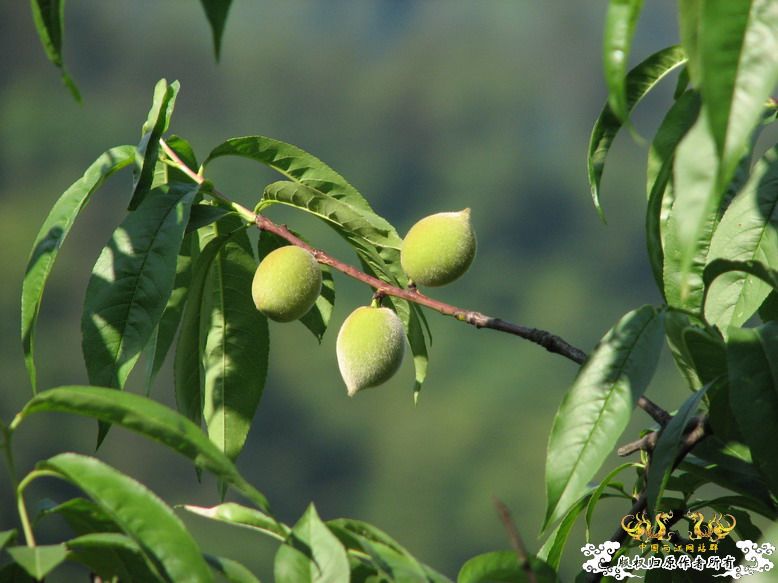 很久没有出去混了-上午