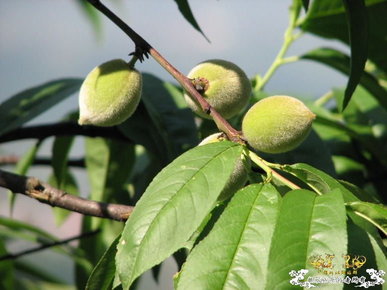 很久没有出去混了-上午