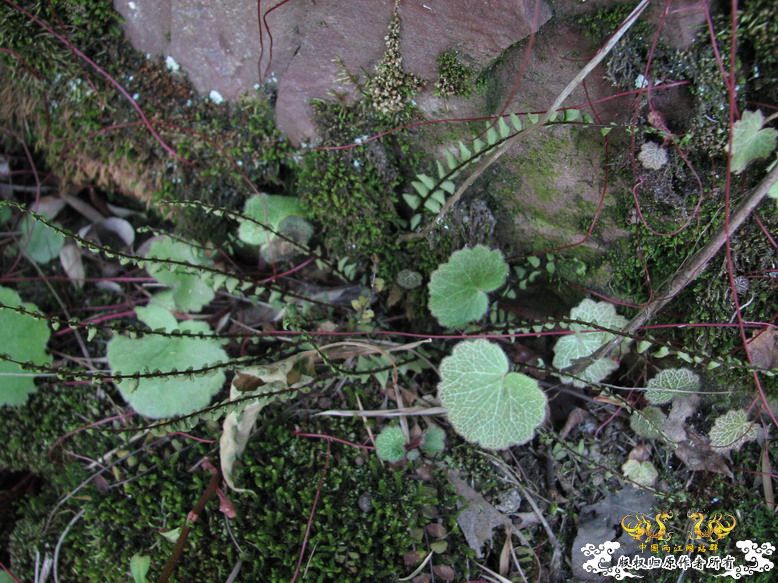 很久没有出去混了-上午