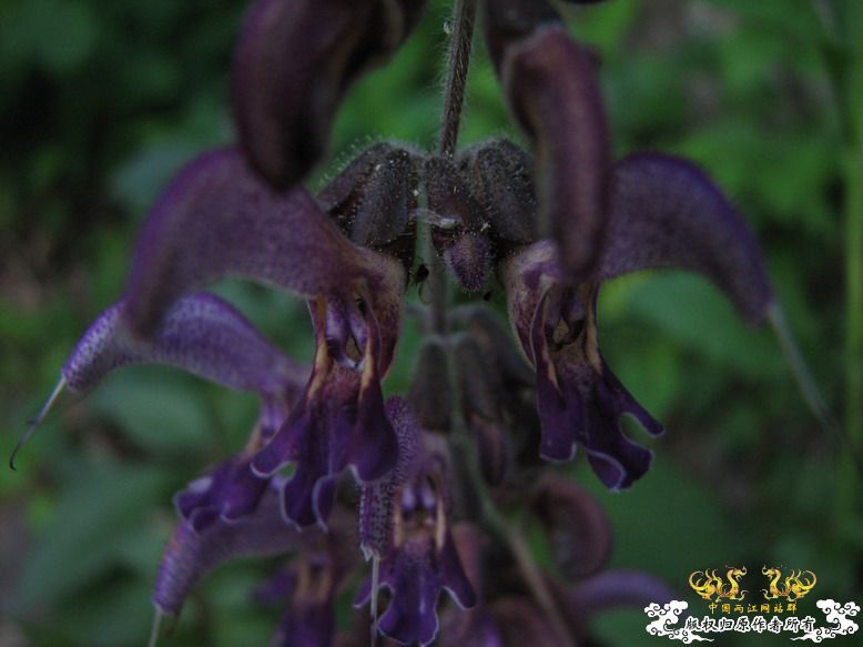 很久没有出去混了-上午