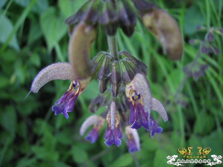 很久没有出去混了-上午